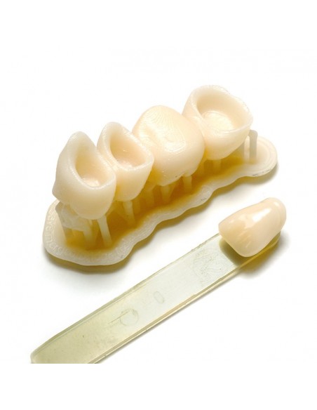 Dental DENTAL A1-A2  - 0,5kg