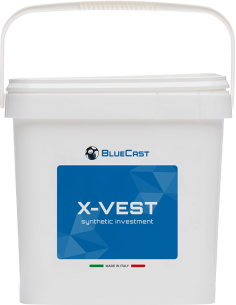 X-Vest investment BlueCast...